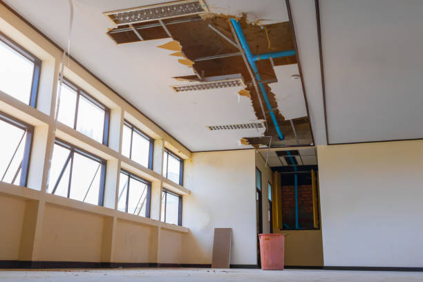 Best Professional water damage repair  in Prairie Heights, WA