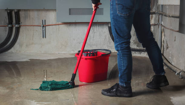 Best Flood restoration services  in Prairie Heights, WA