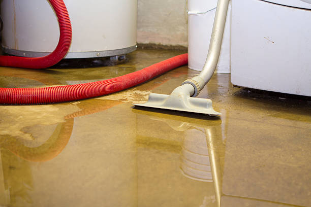 Best Water damage contractors near me  in Prairie Heights, WA