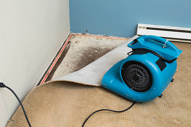Best Water damage restoration near me  in Prairie Heights, WA